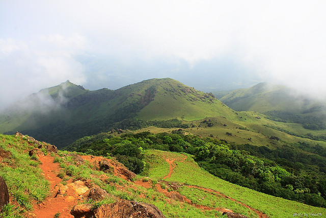 Where Mist Meets Coffee: Discovering the Quiet Charm of Kakkabe’s Valley Plantations