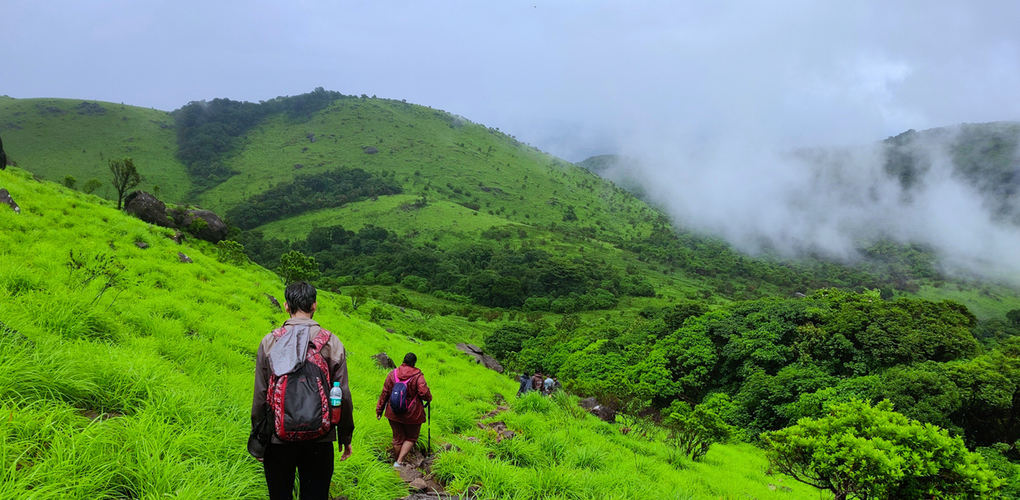 Discovering Tadiandamol: A Trekker’s Paradise in the Western Ghats