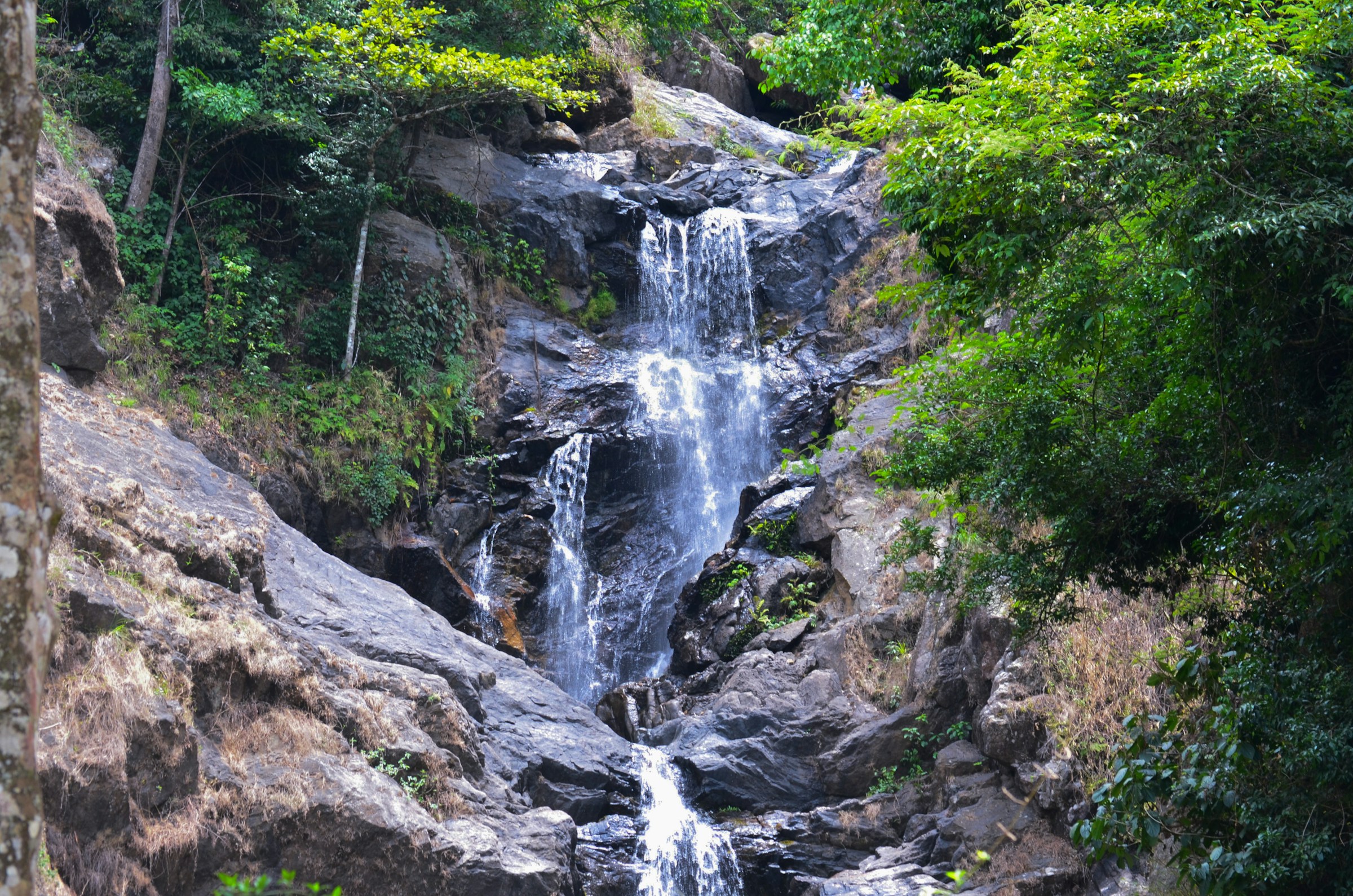 The Enchanting Iruppu Falls: A Hidden Gem of Kodagu