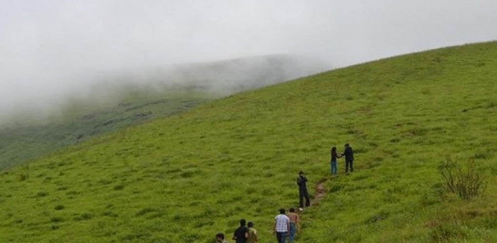 Exploring the Scenic Beauty of Brahmagiri Hills, Kodagu