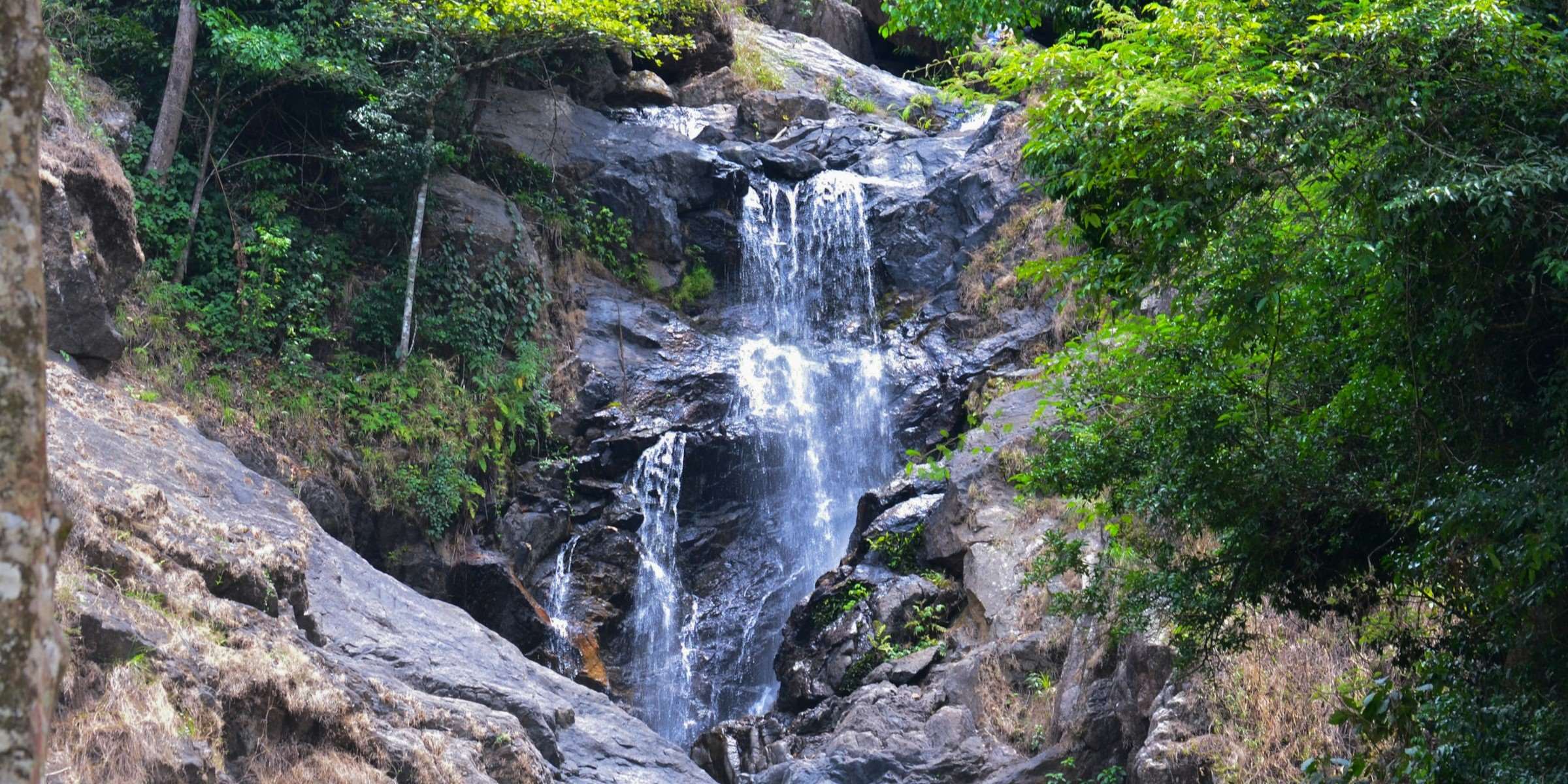 Iruppu Falls: A Hidden Paradise in the Heart of Kodagu