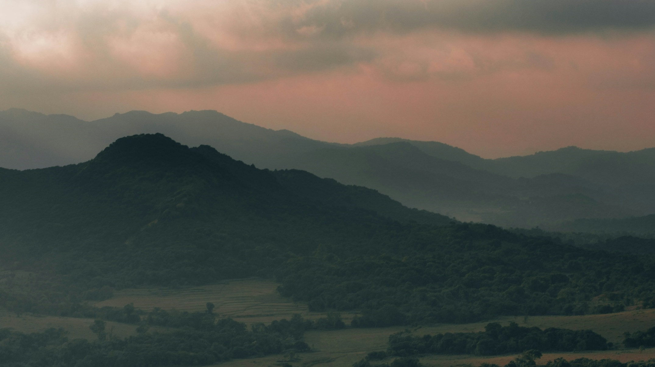 Kote Betta: Exploring the Majestic Trek in the Heart of Kodagu