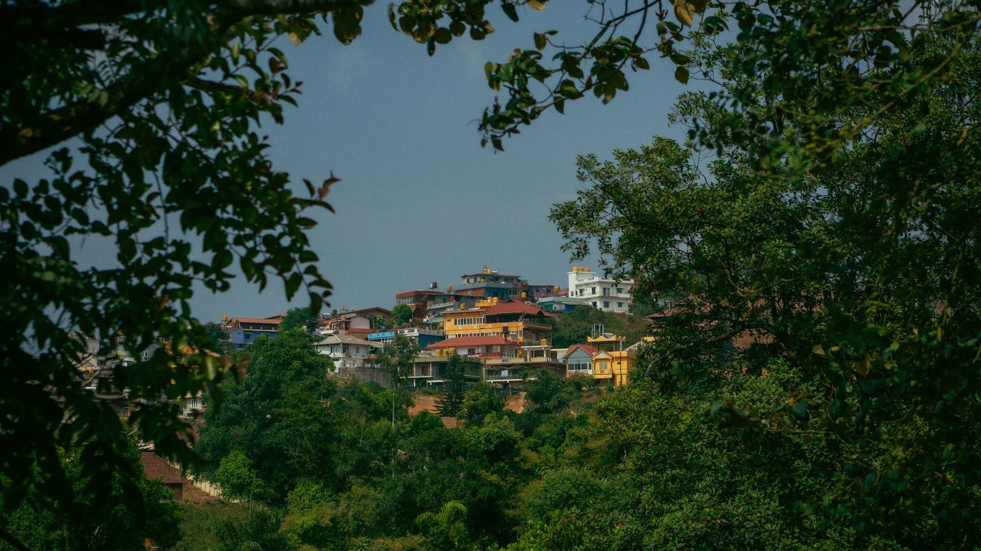 A Scenic Road Trip: Journeying to Kodagu via Mysore