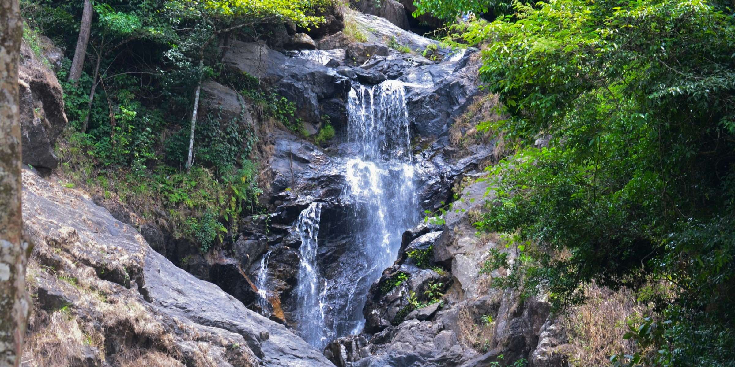 Whispering Waters of Iruppu: A Hidden Gem in the Western Ghats