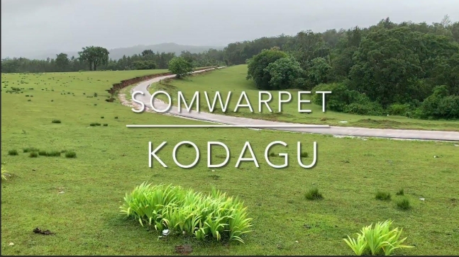 Beluru Bane: The Serene Playground Nestled in Kodagu's Green Heart