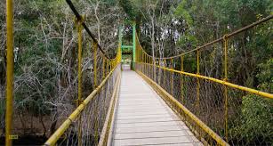 Escape into Nature: Discover the Hidden Serenity of Nisargadhama in Kushalnagar