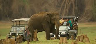 Nagarhole National Park: A Wilderness Paradise in Karnataka