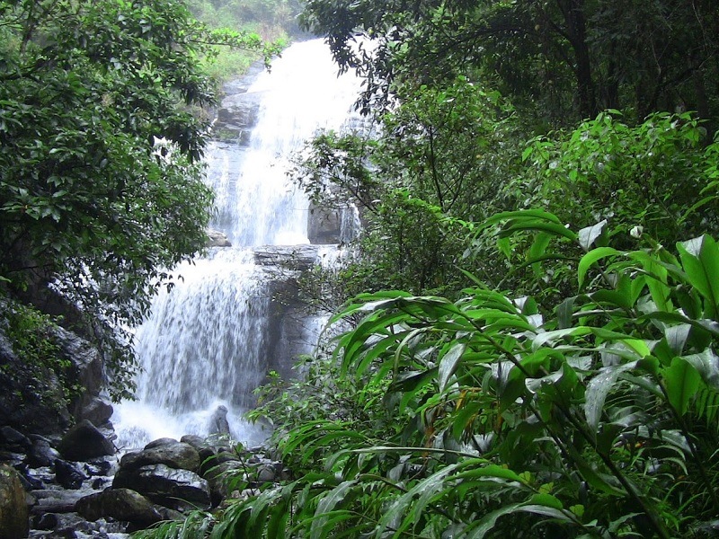 Discover Honey Valley in Kodagu: A Hidden Gem in the Western Ghats