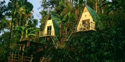 COORGOLOGY HOMESTAY