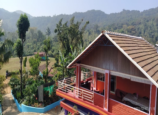 Stay Wild homestay