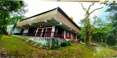 Brindle Berry Homestay