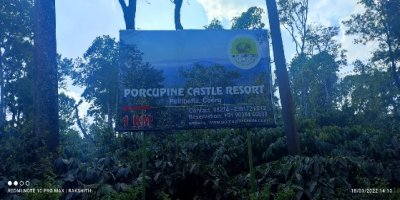 Porcupine Castle Coorg