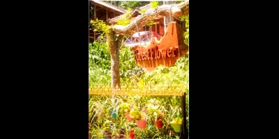 Forest Flower Homestay