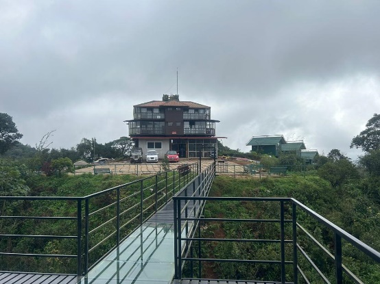 Coorg Tree House