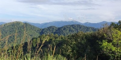 Mandalapatti - Kuruvatha Male Trek