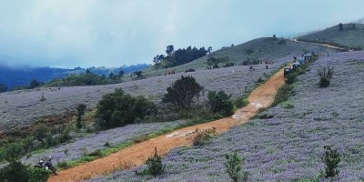 Aanepare - Manjachal Trek