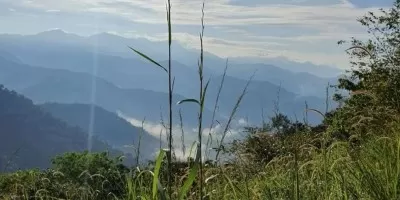 Narimale Camp - Narimale Peak Trek