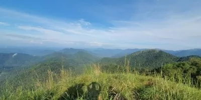 Forest Check Post Base Camp - Thadiyandamol Trek