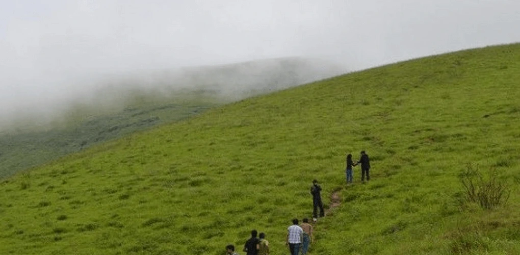 Image of Brahmagiri Hills
